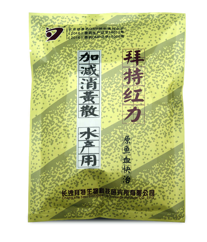 红力