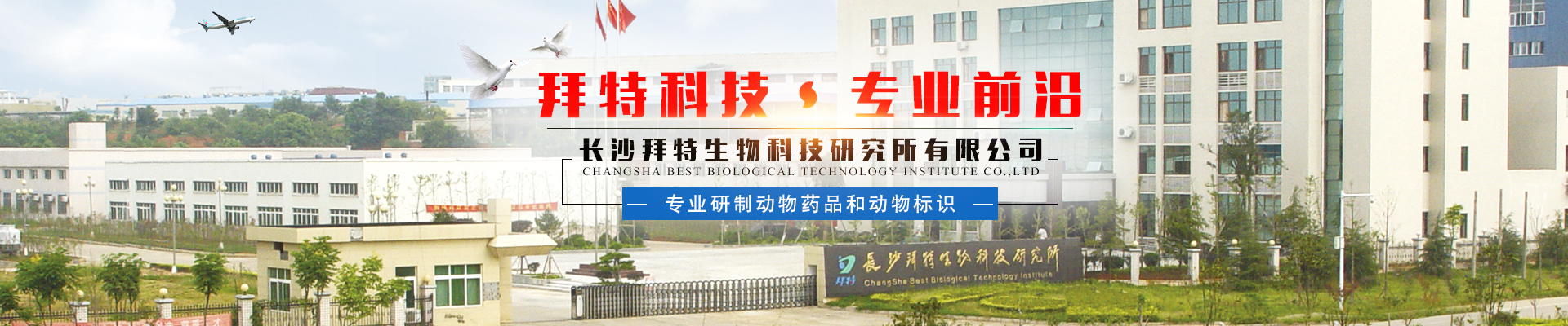 长沙j9九游国际真人生物科技研究所有限公司_动物用注射药|长沙动物用口服液|j9九游国际真人水产药